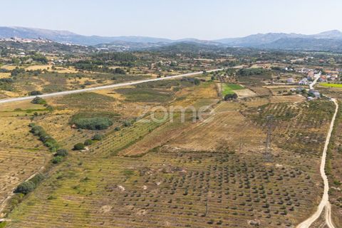 Helårsgrund i Belmonte, Castelo Branco, Belmonte - € 396.000 | Ref: ZMPT570089 - foto 11