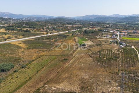 Helårsgrund i Belmonte, Castelo Branco, Belmonte - € 396.000 | Ref: ZMPT570089 - foto 23