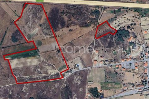 Helårsgrund i Belmonte, Castelo Branco, Belmonte - € 396.000 | Ref: ZMPT570089 - foto 17