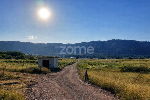 Helårsgrund i Belmonte, Castelo Branco, Belmonte - € 396.000 | Ref: ZMPT570089 - foto 4