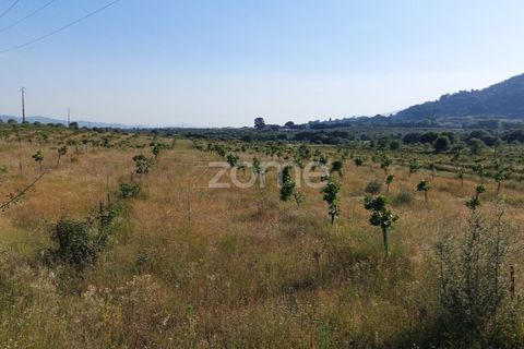 Helårsgrund i Belmonte, Castelo Branco, Belmonte - € 396.000 | Ref: ZMPT570089 - foto 3