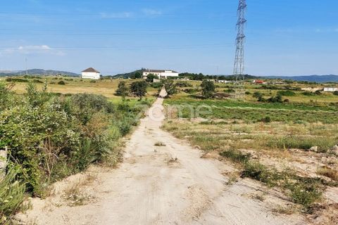 Helårsgrund i Belmonte, Castelo Branco, Belmonte - € 396.000 | Ref: ZMPT570089 - foto 5