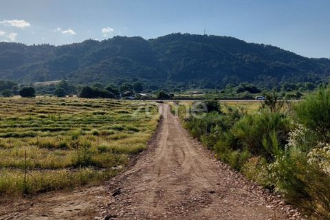 Helårsgrund i Belmonte, Castelo Branco, Belmonte - € 396.000 | Ref: ZMPT570089 - foto 6