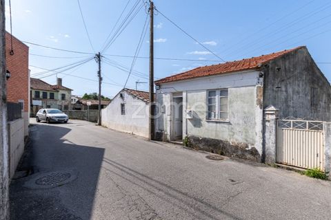 Helårsgrund i Espinho, Aveiro, Espinho - € 190.000 | Ref: ZMPT568492 - foto 5