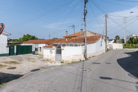 Helårsgrund i Espinho, Aveiro, Espinho - € 190.000 | Ref: ZMPT568492 - foto 6