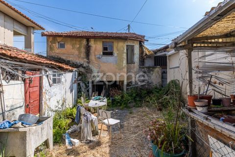 Helårsgrund i Espinho, Aveiro, Espinho - € 190.000 | Ref: ZMPT568492 - foto 12
