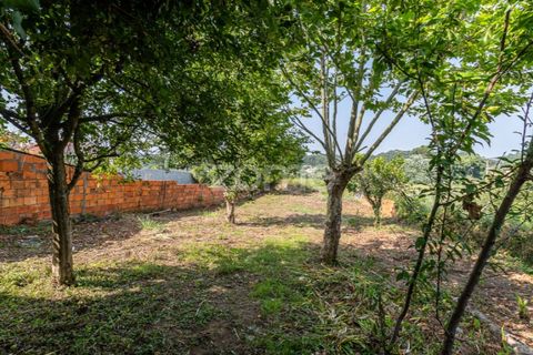 Helårsgrund i Espinho, Aveiro, Espinho - € 190.000 | Ref: ZMPT568492 - foto 15