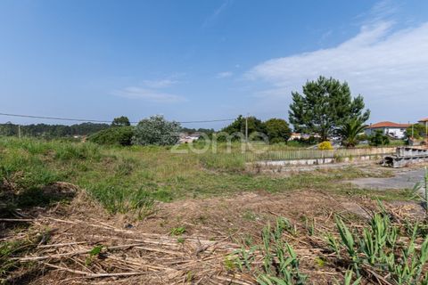Helårsgrund i Espinho, Aveiro, Espinho - € 190.000 | Ref: ZMPT568492 - foto 18