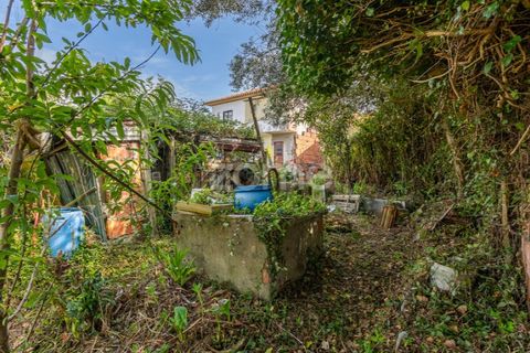 Helårsgrund i Espinho, Aveiro, Espinho - € 190.000 | Ref: ZMPT568492 - foto 20