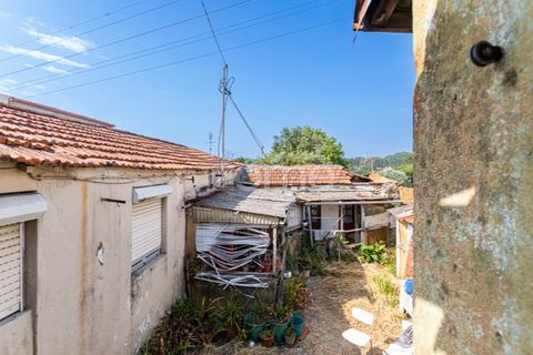 Helårsgrund i Espinho, Aveiro, Espinho - € 190.000 | Ref: ZMPT568492 - foto 30