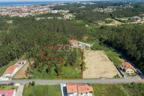 Terra a Cortegaca, Aveiro, Cortegaca - € 150.000 | Ref: ZMPT567508 - foto 2