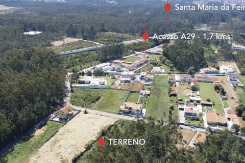 Terra a Cortegaca, Aveiro, Cortegaca - € 150.000 | Ref: ZMPT567508 - foto 3