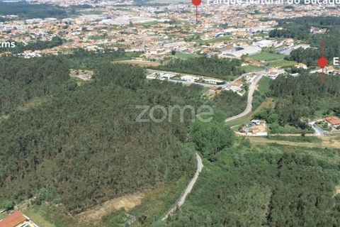 Terra a Cortegaca, Aveiro, Cortegaca - € 150.000 | Ref: ZMPT567508 - foto 4