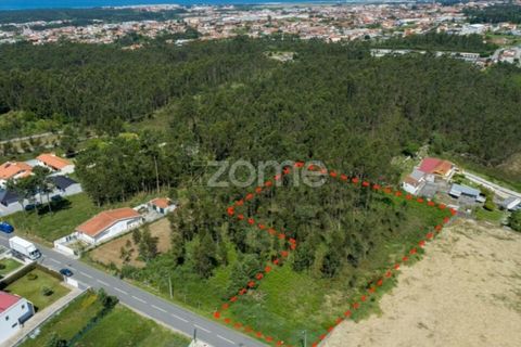 Terra a Cortegaca, Aveiro, Cortegaca - € 150.000 | Ref: ZMPT567508 - foto 6