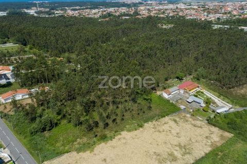 Terra a Cortegaca, Aveiro, Cortegaca - € 150.000 | Ref: ZMPT567508 - foto 7