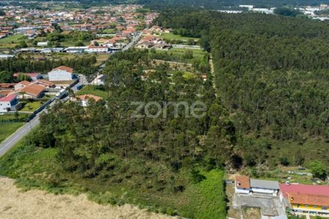 Terra a Cortegaca, Aveiro, Cortegaca - € 150.000 | Ref: ZMPT567508 - foto 9