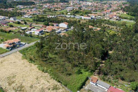 Terra a Cortegaca, Aveiro, Cortegaca - € 150.000 | Ref: ZMPT567508 - foto 10