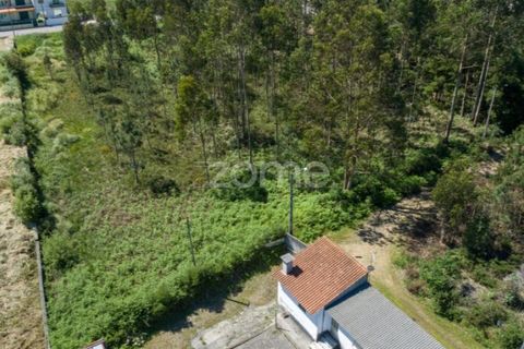 Terra a Cortegaca, Aveiro, Cortegaca - € 150.000 | Ref: ZMPT567508 - foto 11