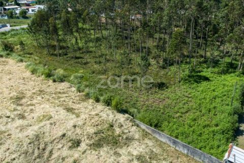 Terra a Cortegaca, Aveiro, Cortegaca - € 150.000 | Ref: ZMPT567508 - foto 12