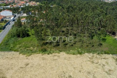 Terra a Cortegaca, Aveiro, Cortegaca - € 150.000 | Ref: ZMPT567508 - foto 15