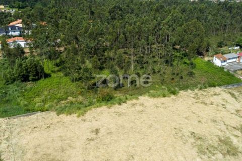 Terra a Cortegaca, Aveiro, Cortegaca - € 150.000 | Ref: ZMPT567508 - foto 16