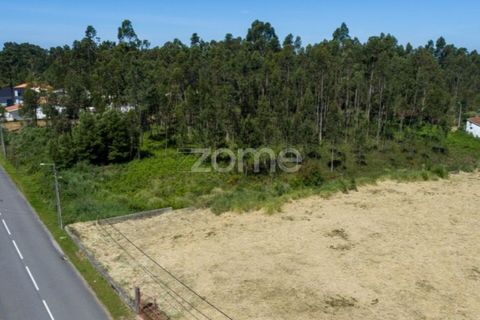 Terra a Cortegaca, Aveiro, Cortegaca - € 150.000 | Ref: ZMPT567508 - foto 17