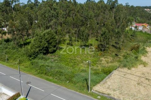 Terra a Cortegaca, Aveiro, Cortegaca - € 150.000 | Ref: ZMPT567508 - foto 18