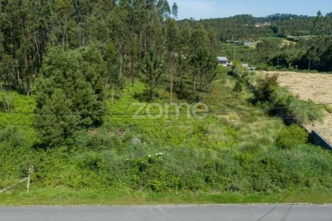 Terra a Cortegaca, Aveiro, Cortegaca - € 150.000 | Ref: ZMPT567508 - foto 19