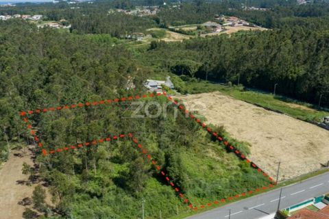 Terra a Cortegaca, Aveiro, Cortegaca - € 150.000 | Ref: ZMPT567508 - foto 21