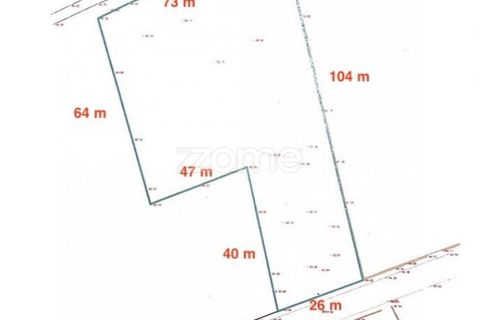 Terra a Cortegaca, Aveiro, Cortegaca - € 150.000 | Ref: ZMPT567508 - foto 23