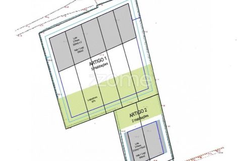 Terra a Cortegaca, Aveiro, Cortegaca - € 150.000 | Ref: ZMPT567508 - foto 24