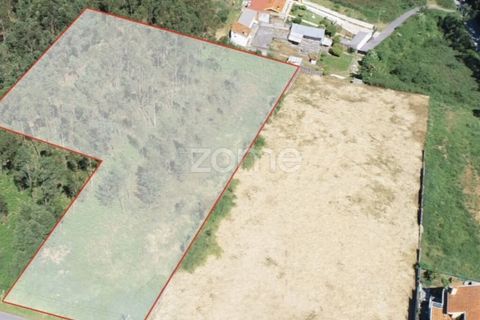 Terra a Cortegaca, Aveiro, Cortegaca - € 150.000 | Ref: ZMPT567508 - foto 5