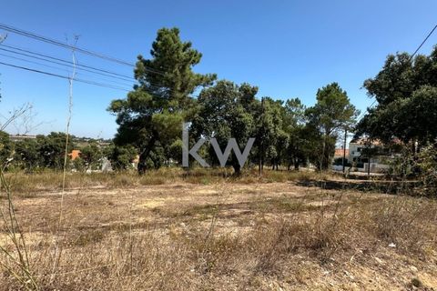 Helårsgrund i Ermidas do Sado, Setubal, Ermidas do Sado - € 1.920.000 | Ref: KWPT-004416 - foto 4