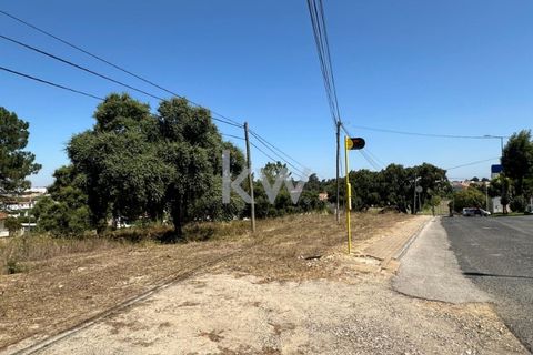 Helårsgrund i Ermidas do Sado, Setubal, Ermidas do Sado - € 1.920.000 | Ref: KWPT-004416 - foto 6