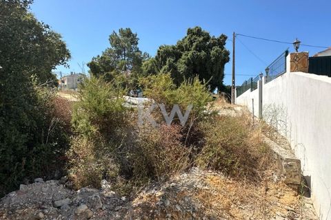 Helårsgrund i Ermidas do Sado, Setubal, Ermidas do Sado - € 1.920.000 | Ref: KWPT-004416 - foto 8