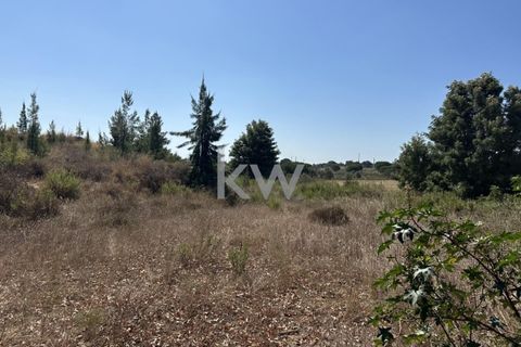Helårsgrund i Setubal, Setubal, Setubal - € 750.000 | Ref: KWPT-004397 - foto 6