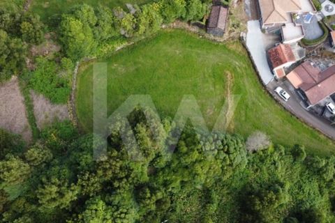 Villa a Prainha, Pico, Prainha - € 78.000 | Ref: 2226-1444 - foto 15
