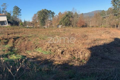 Terra a Pousa, Braga, Pousa - € 66.000 | Ref: ZMPT568132 - foto 7