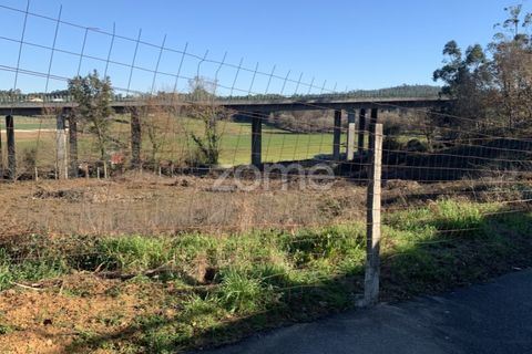 Terra a Pousa, Braga, Pousa - € 66.000 | Ref: ZMPT568132 - foto 10