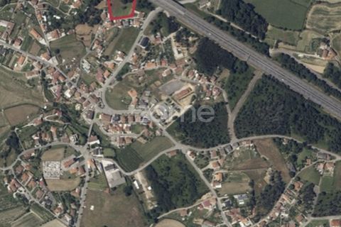 Terra a Pousa, Braga, Pousa - € 66.000 | Ref: ZMPT568132 - foto 13