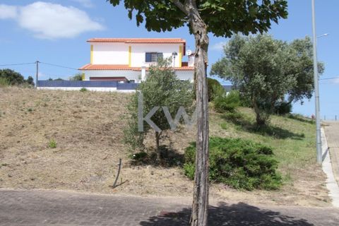 Terra a Pontevel, Santarem, Pontevel - € 30.000 | Ref: KWPT-003114 - foto 5