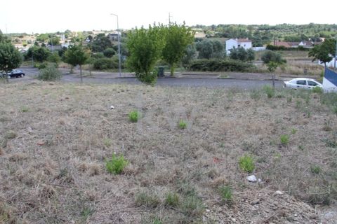Terra a Pontevel, Santarem, Pontevel - € 30.000 | Ref: KWPT-003016 - foto 4