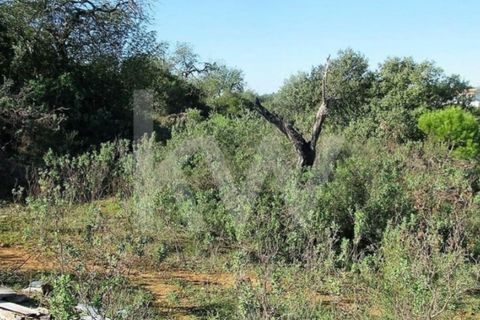 Helårsgrund i Quelfes, Faro, Quelfes - € 40.000 | Ref: 1196-6714 - foto 7