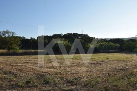 Helårsgrund i Alenquer, Lisbon, Alenquer - € 950.000 | Ref: 1196-7950 - foto 21