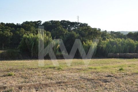 Helårsgrund i Alenquer, Lisbon, Alenquer - € 950.000 | Ref: 1196-7950 - foto 22