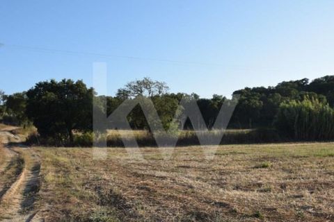 Helårsgrund i Alenquer, Lisbon, Alenquer - € 950.000 | Ref: 1196-7950 - foto 23