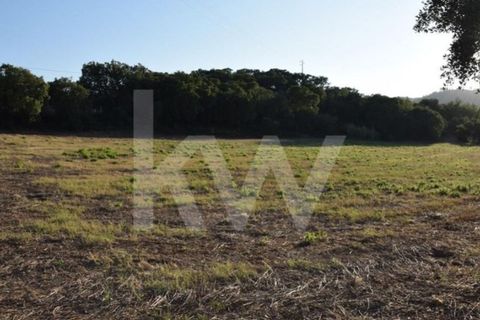 Helårsgrund i Alenquer, Lisbon, Alenquer - € 950.000 | Ref: 1196-7950 - foto 28