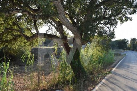 Helårsgrund i Alenquer, Lisbon, Alenquer - € 950.000 | Ref: 1196-7950 - foto 32