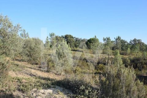 Helårsgrund i Alenquer, Lisbon, Alenquer - € 950.000 | Ref: 1196-7950 - foto 2