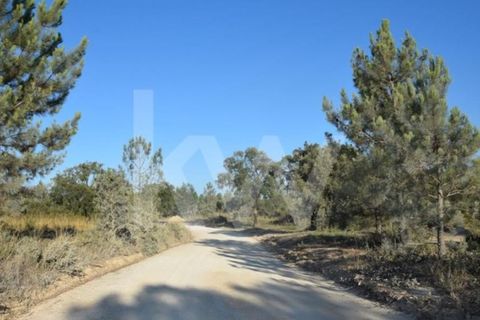 Helårsgrund i Alenquer, Lisbon, Alenquer - € 950.000 | Ref: 1196-7950 - foto 3